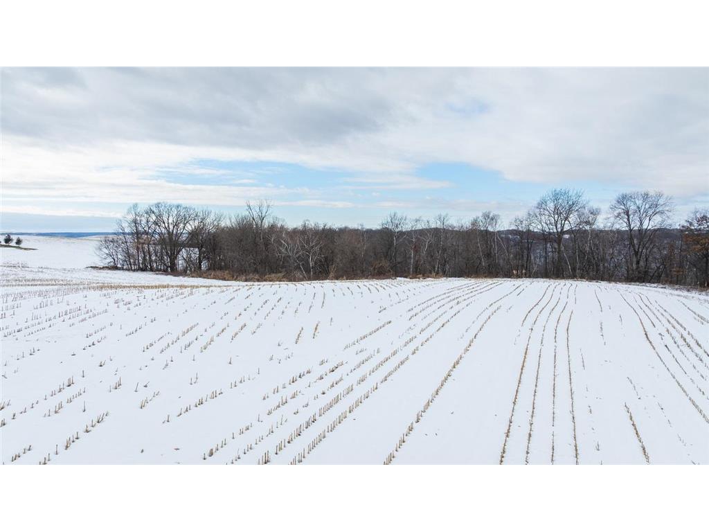 TBD Maplewood Lane Belvidere Twp WI 54610 7040303 image8