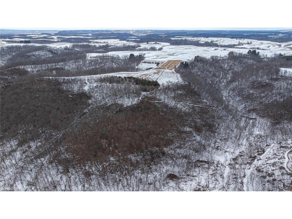 TBD Maplewood Lane Belvidere Twp WI 54610 7040303 image9