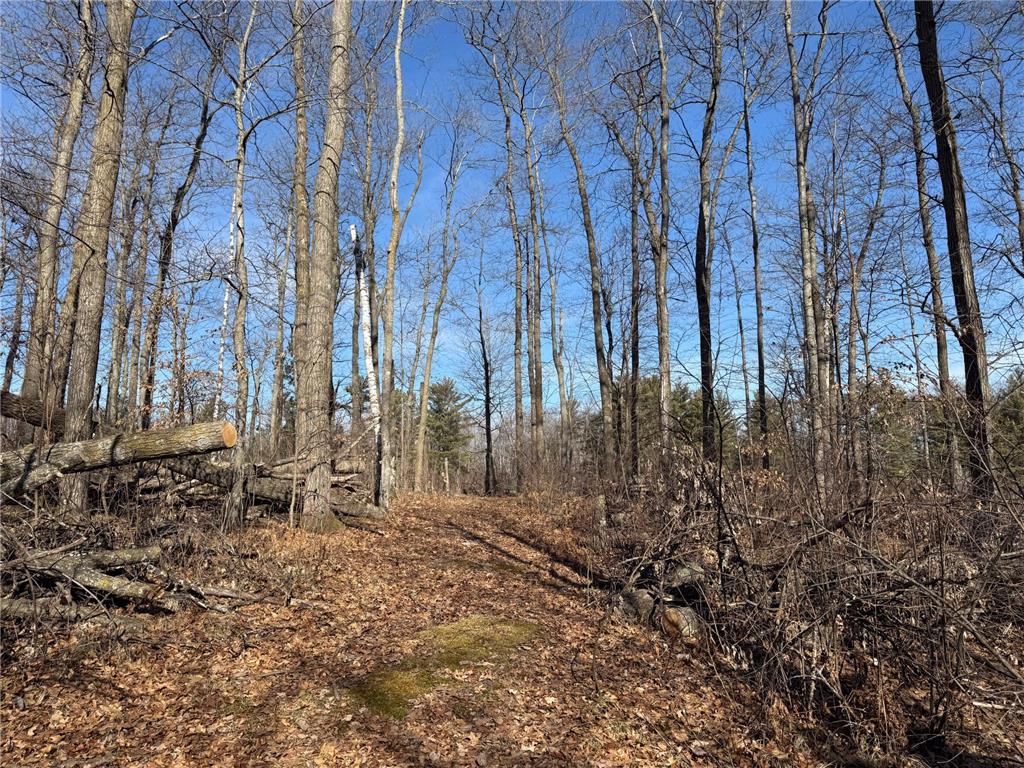 TBD Marble Drive Cushing MN 56475 6690615 image1