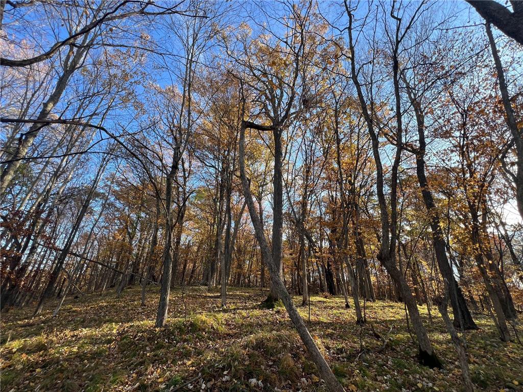 TBD Marl Road Spooner WI 54801 - Rice Lake 6807200 image17