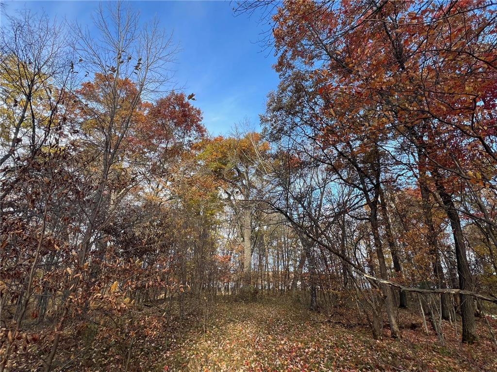 TBD Marl Road Spooner WI 54801 - Rice Lake 6807200 image6