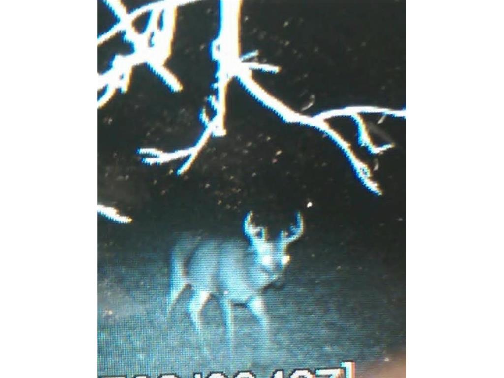 TBD Marsh Road Milaca MN 56353 7075705 image13