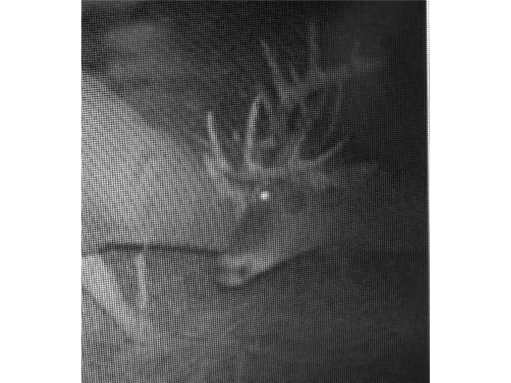 TBD Marsh Road Milaca MN 56353 7075705 image14