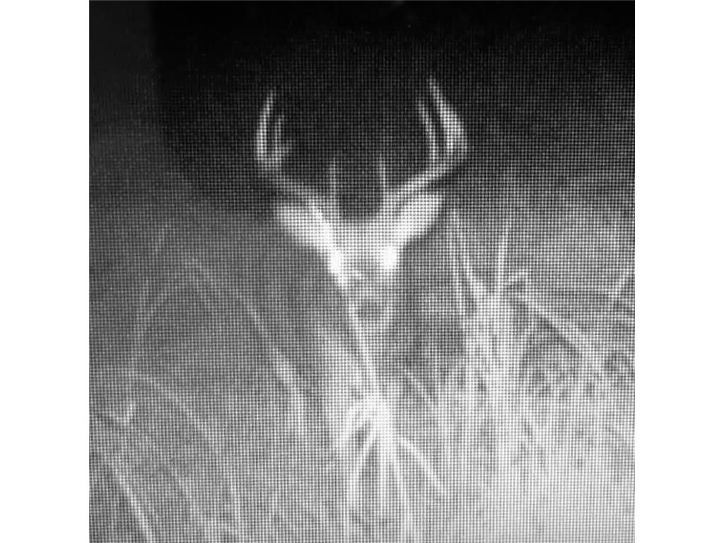 TBD Marsh Road Milaca MN 56353 7075705 image15