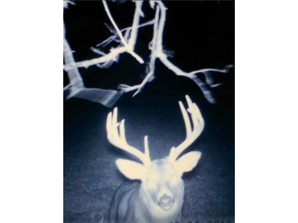TBD Marsh Road Milaca MN 56353 7075705 image16