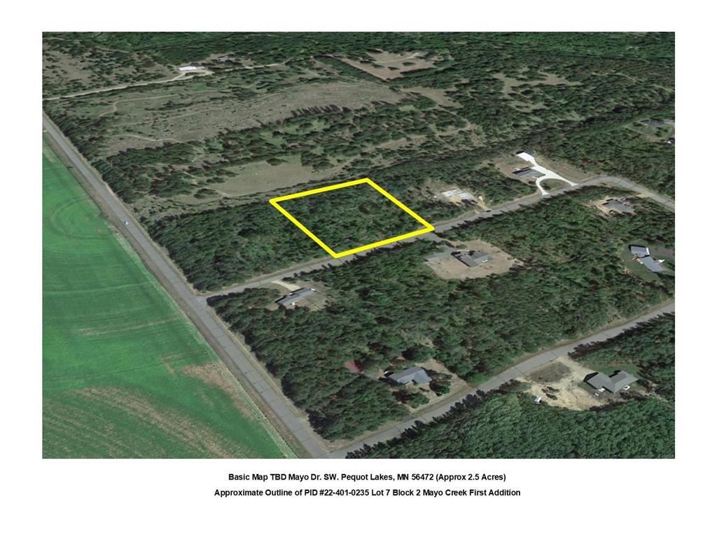 TBD Mayo Dr. SW. Loon Lake Twp MN 56472 6386364 image1