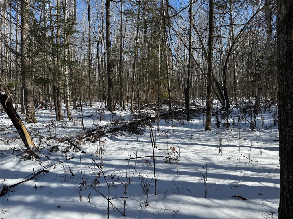 TBD McKeown Lake Road NW Hackensack MN 56452 - McKeown 6684593 image1