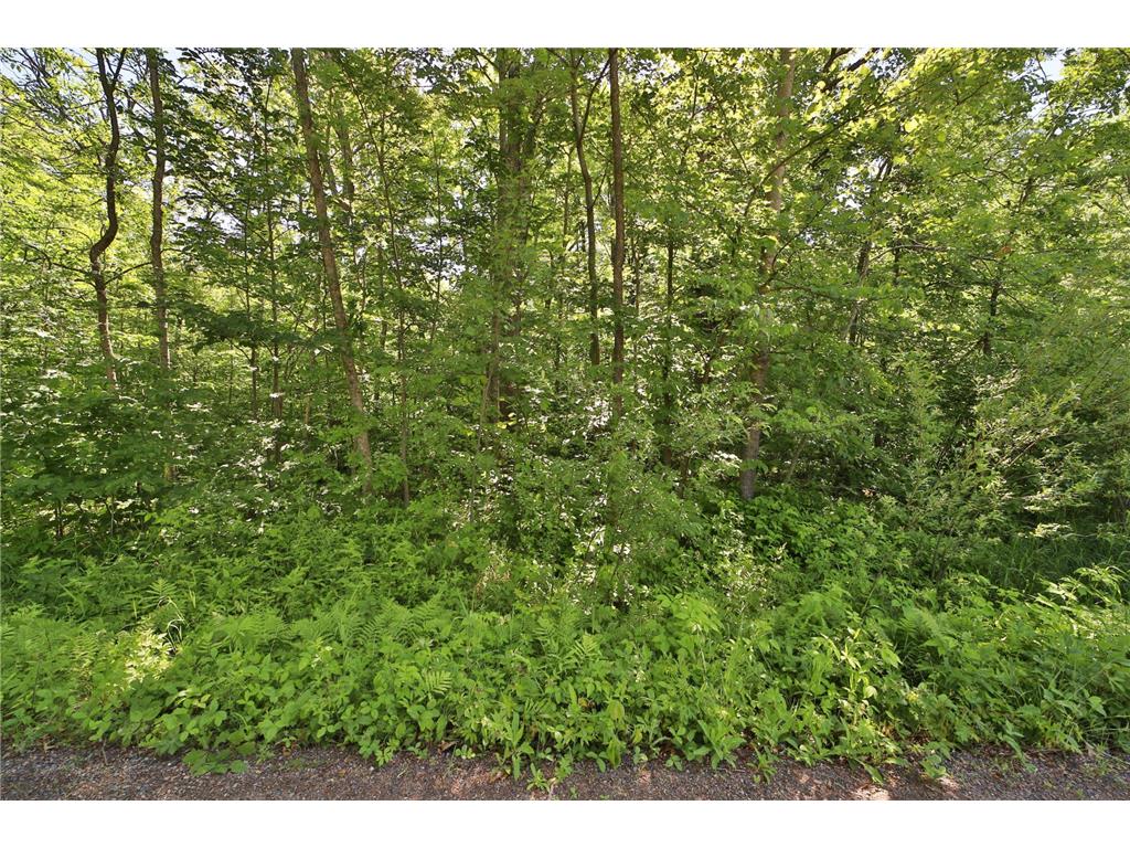 TBD Meander Way Garrison MN 56450 7099516 image2
