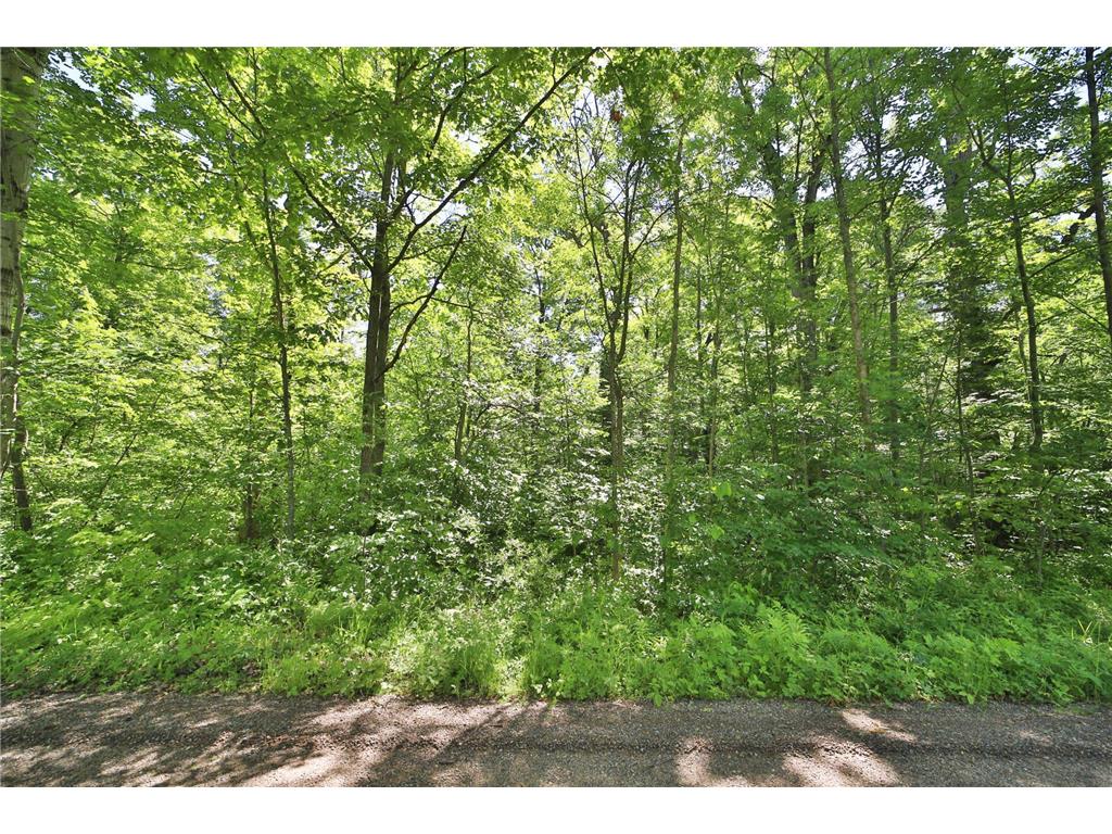 TBD Meander Way Garrison MN 56450 7099516 image4