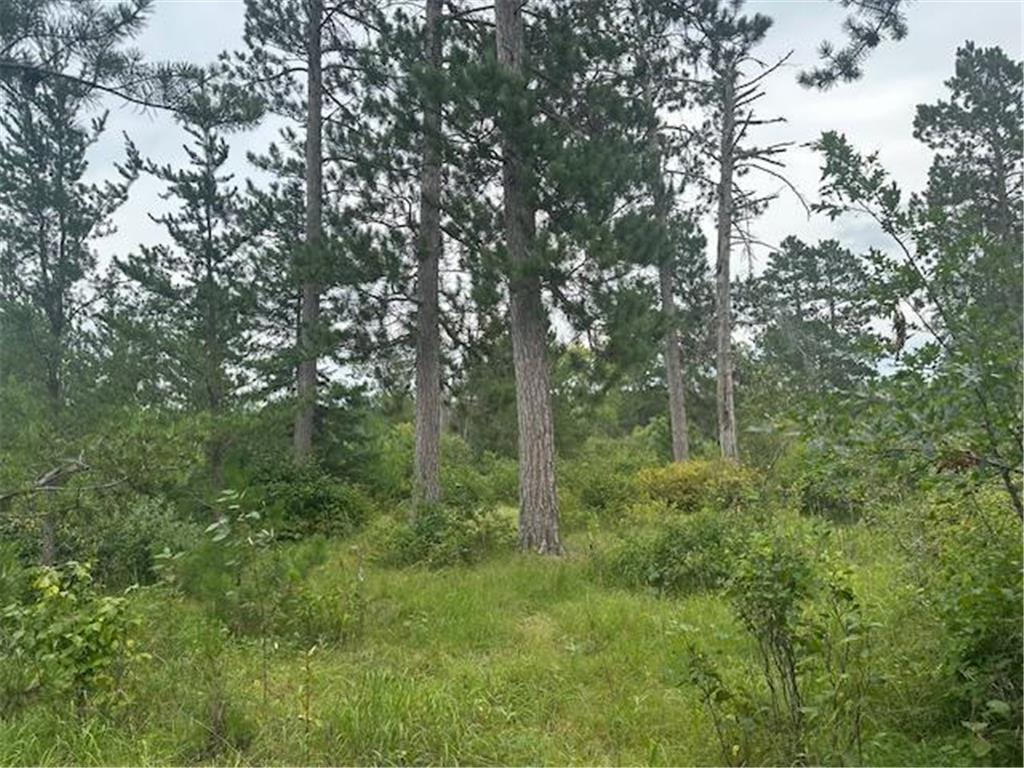 TBD Memorial Lane NW Bemidji MN 56601 6773460 image1
