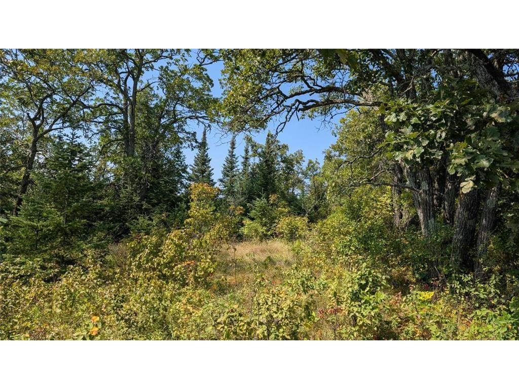 TBD Meyers Island Tower MN 55790 - Vermilion 6782036 image6