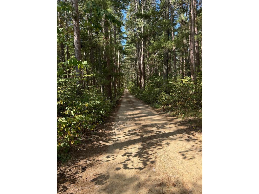 TBD Midday Circle Laporte MN 56461 6609073 image10