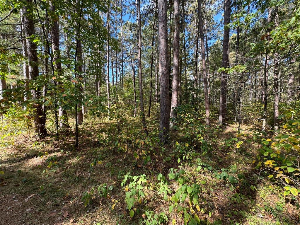 TBD Midday Circle Laporte MN 56461 6609073 image13