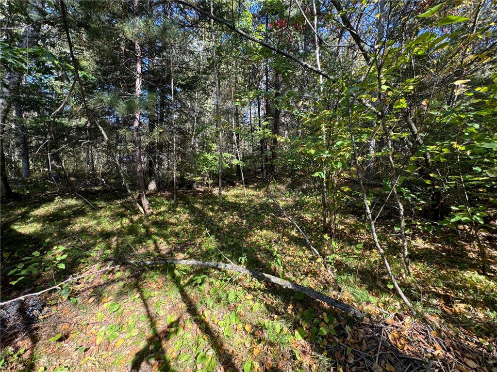 TBD Midday Circle Laporte MN 56461 6609073 image14