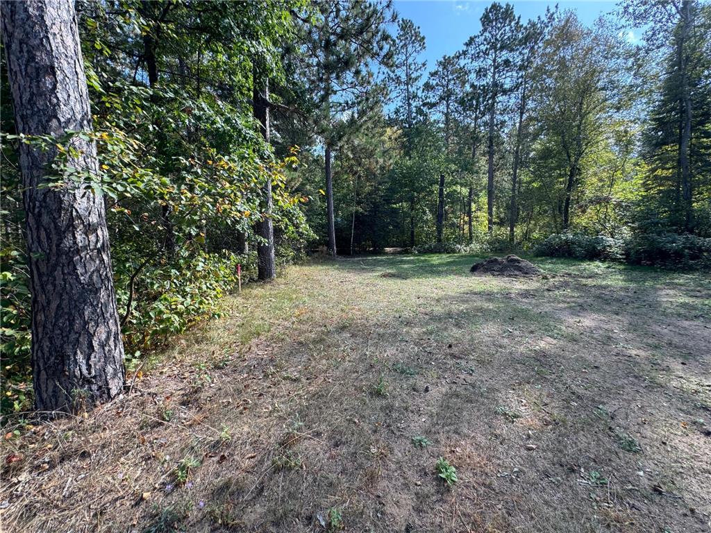 TBD Midday Circle Laporte MN 56461 6609073 image15