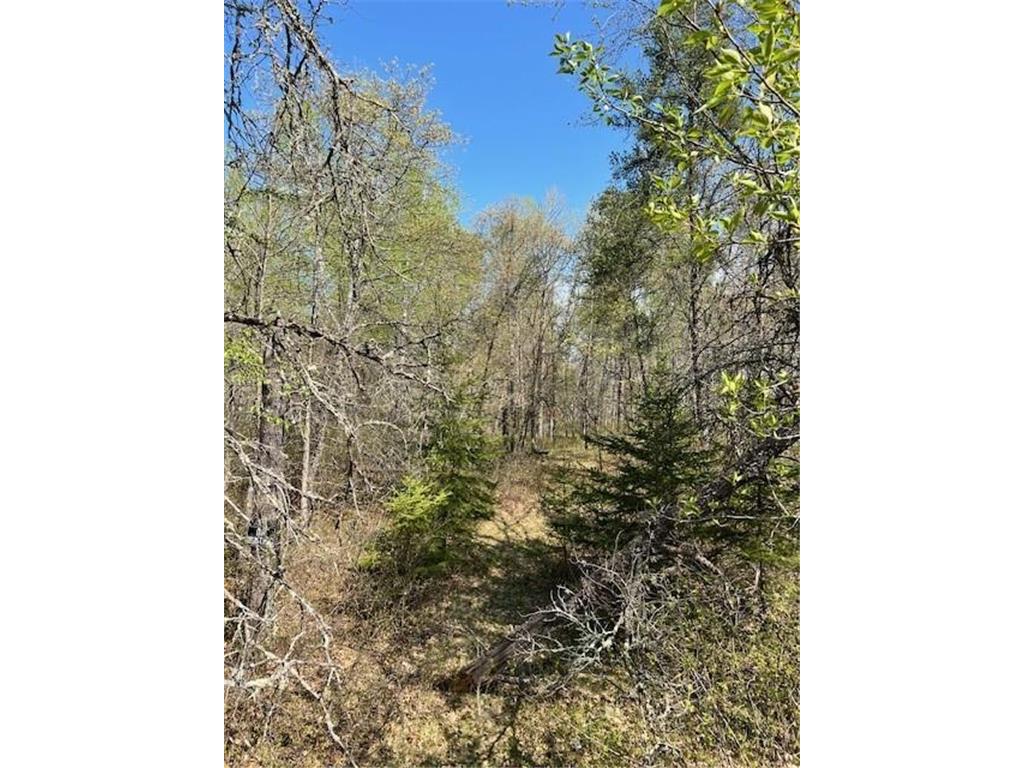 TBD Mikes Road SW Bemidji MN 56601 7026109 image1