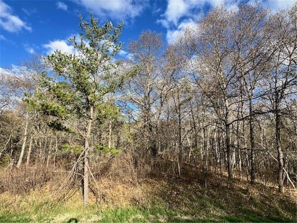 TBD Mikes Road SW Bemidji MN 56601 7026109 image2