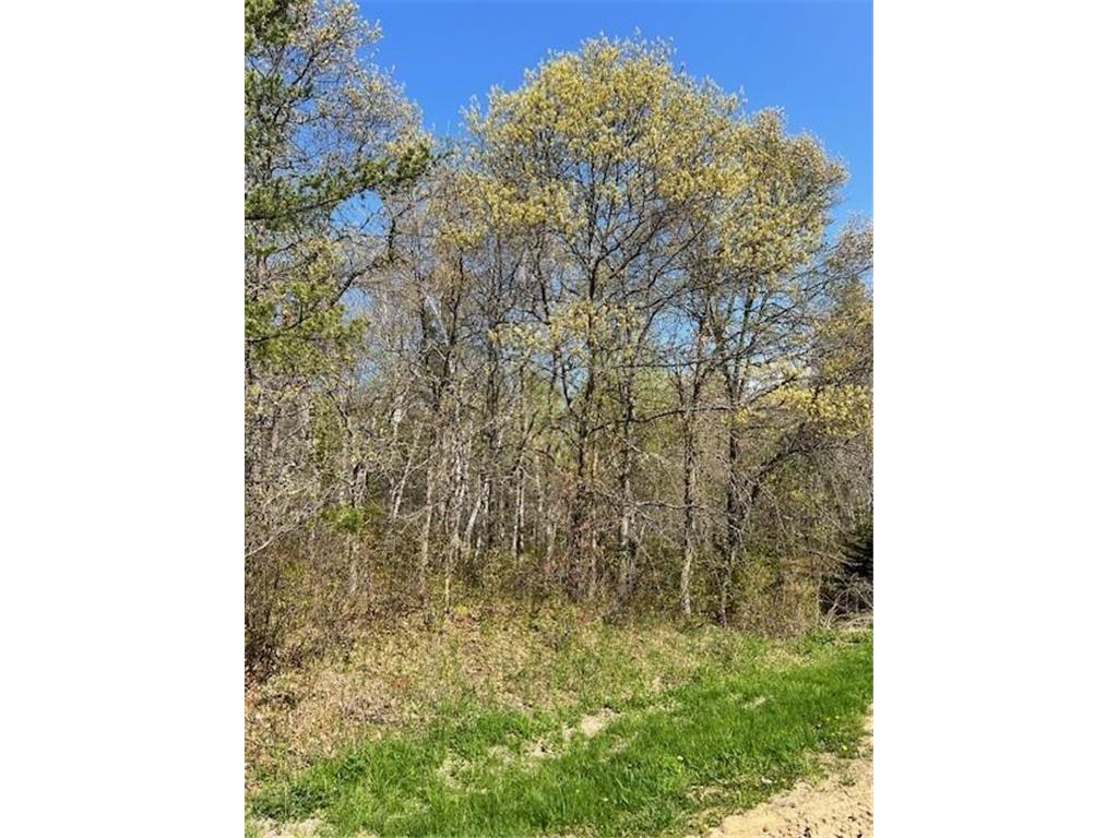 TBD Mikes Road SW Bemidji MN 56601 7026109 image4