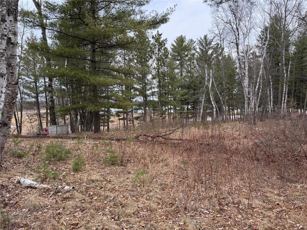 TBD Miller Bay Lane Hackensack MN 56452 - Birch Lake 6705355 image10