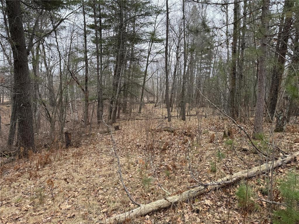 TBD Miller Bay Lane Hackensack MN 56452 - Birch Lake 6705355 image12