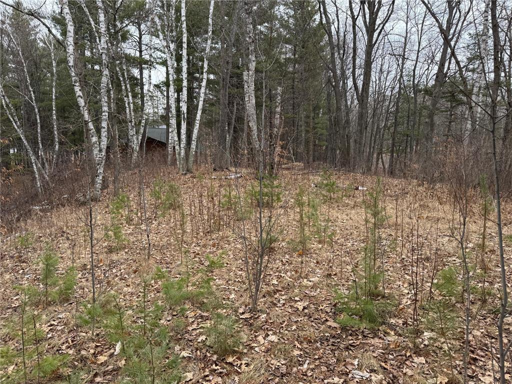 TBD Miller Bay Lane Hackensack MN 56452 - Birch Lake 6705355 image14