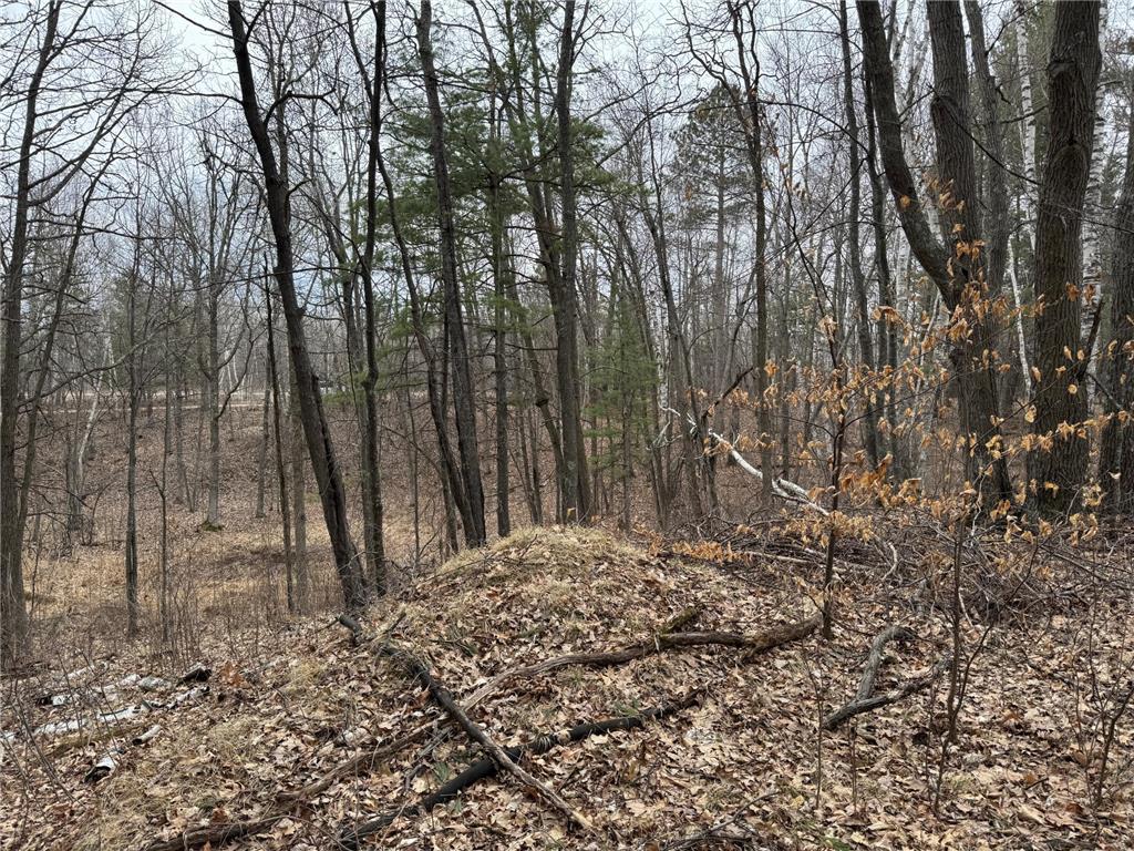 TBD Miller Bay Lane Hackensack MN 56452 - Birch Lake 6705355 image16