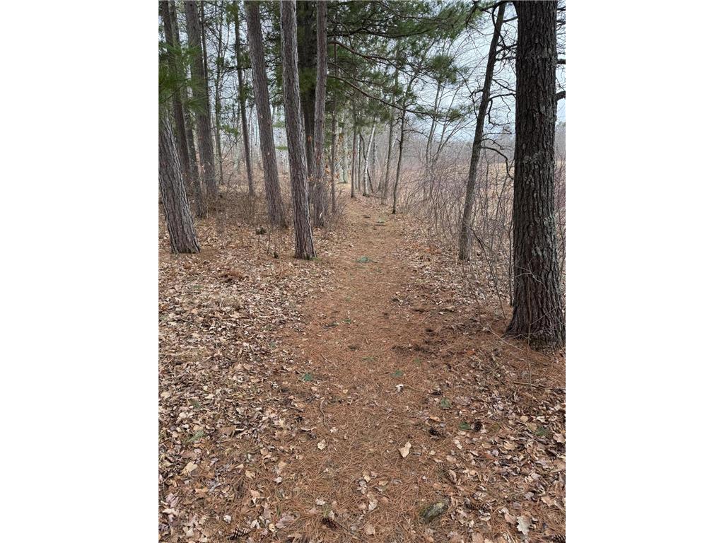 TBD Miller Bay Lane Hackensack MN 56452 - Birch Lake 6705355 image17