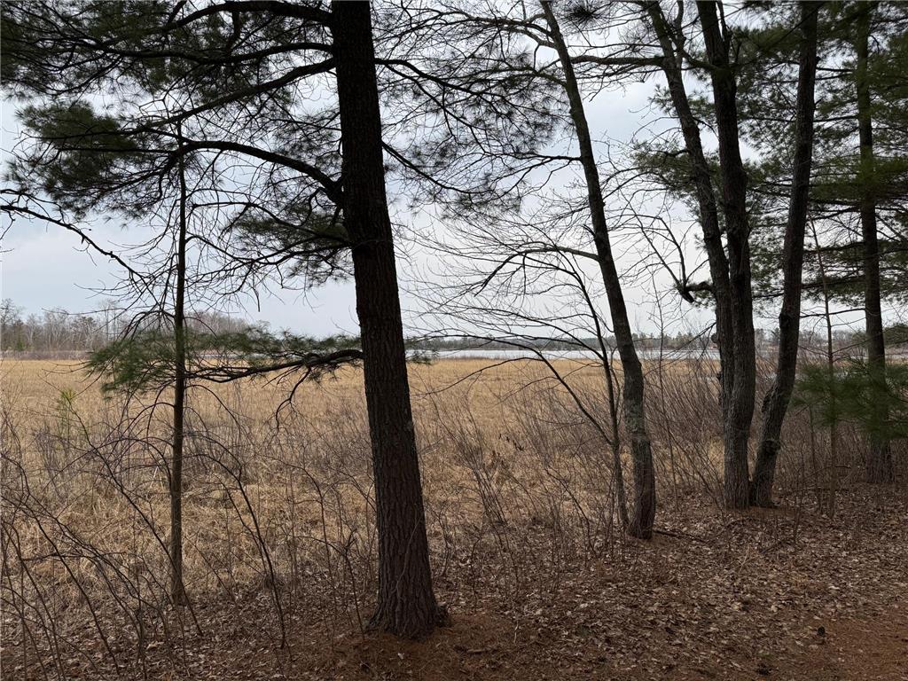 TBD Miller Bay Lane Hackensack MN 56452 - Birch Lake 6705355 image19