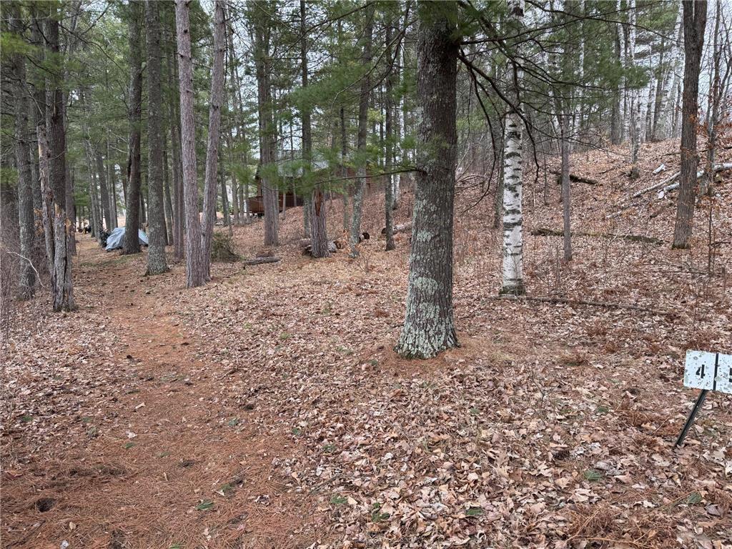 TBD Miller Bay Lane Hackensack MN 56452 - Birch Lake 6705355 image20