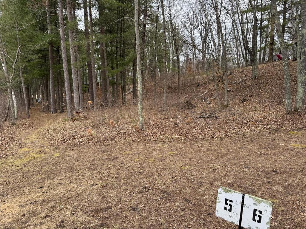 TBD Miller Bay Lane Hackensack MN 56452 - Birch Lake 6705355 image21