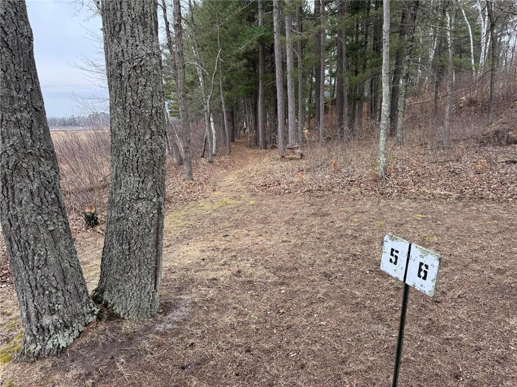 TBD Miller Bay Lane Hackensack MN 56452 - Birch Lake 6705355 image22