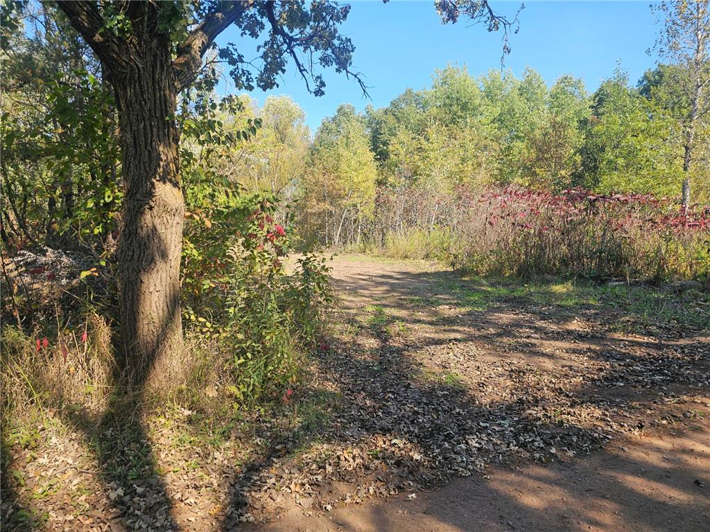 TBD Miller Lake Road Crosby MN 56441 6795415 image11