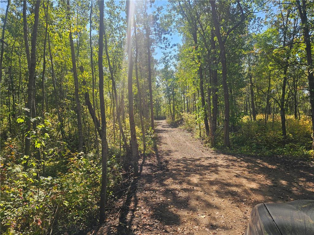 TBD Miller Lake Road Crosby MN 56441 6795415 image14