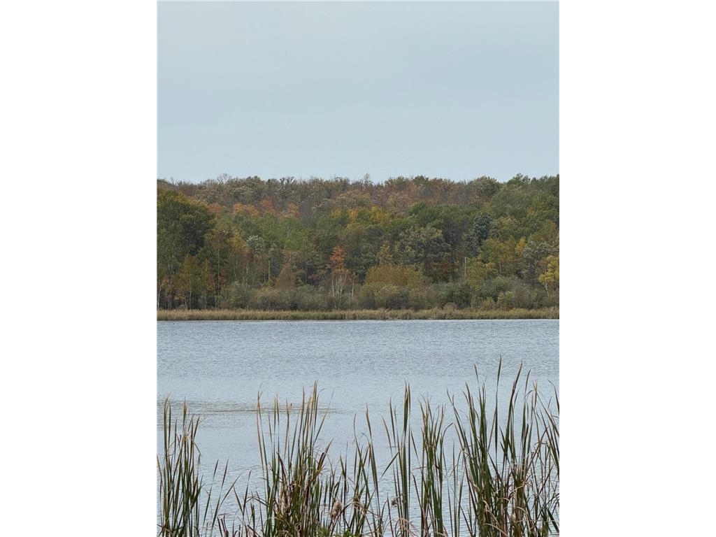 TBD Minerva Lake Rd Minerva Twp MN 56676 - Minerva 6797862 image1