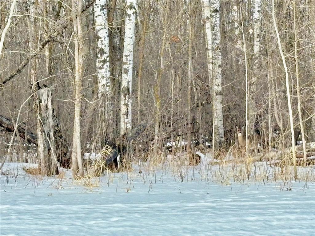 TBD Minnesota Ave NE Warroad MN 56763 7022980 image3