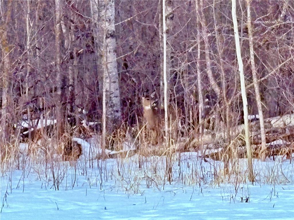 TBD Minnesota Ave NE Warroad MN 56763 7022980 image4