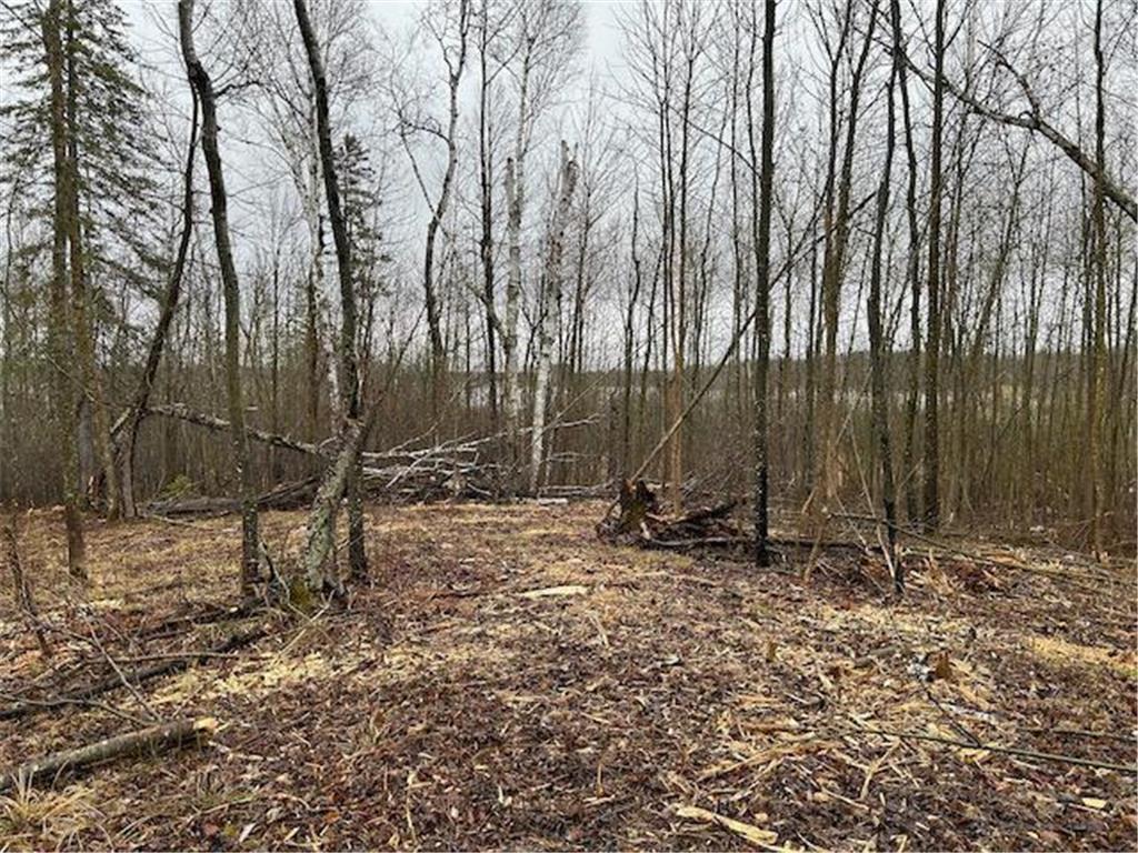 TBD Minnesota Street Northome MN 56661 6526836 image1