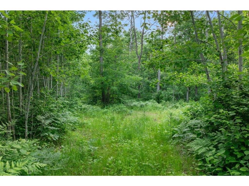 TBD Mitchell Road Nisswa MN 56468 7099035 image21