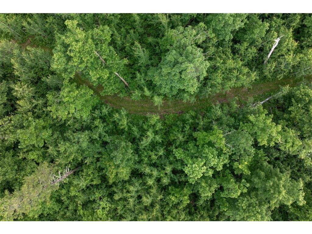 TBD Mitchell Road Nisswa MN 56468 7099035 image4