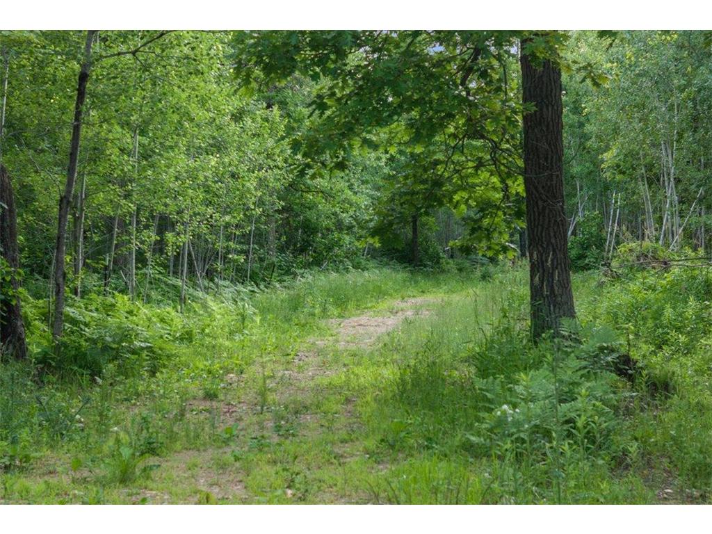 TBD Mitchell Road Nisswa MN 56468 7099035 image5