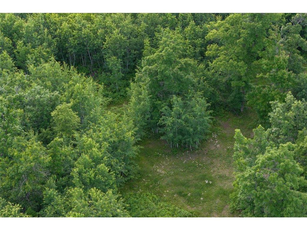 TBD Mitchell Road Nisswa MN 56468 7099035 image7
