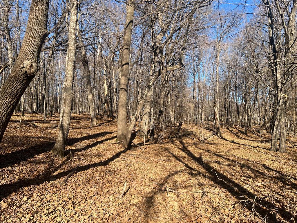 TBD Moe Hall Road NW Moe Twp MN 56332 - William 6821112 image2