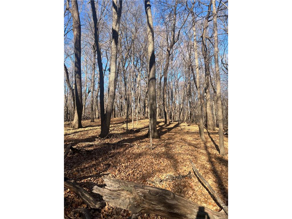 TBD Moe Hall Road NW Moe Twp MN 56332 - William 6821112 image3