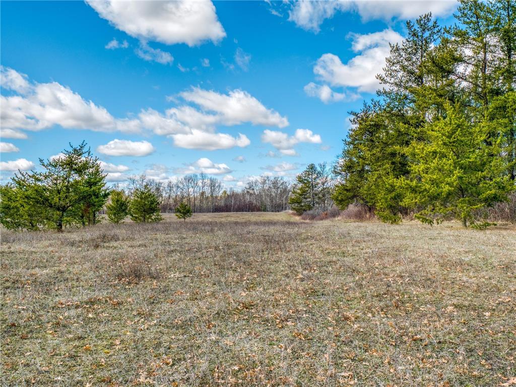 TBD Monroe Avenue SW Bemidji Twp MN 56601 - Carr 6521858 image1