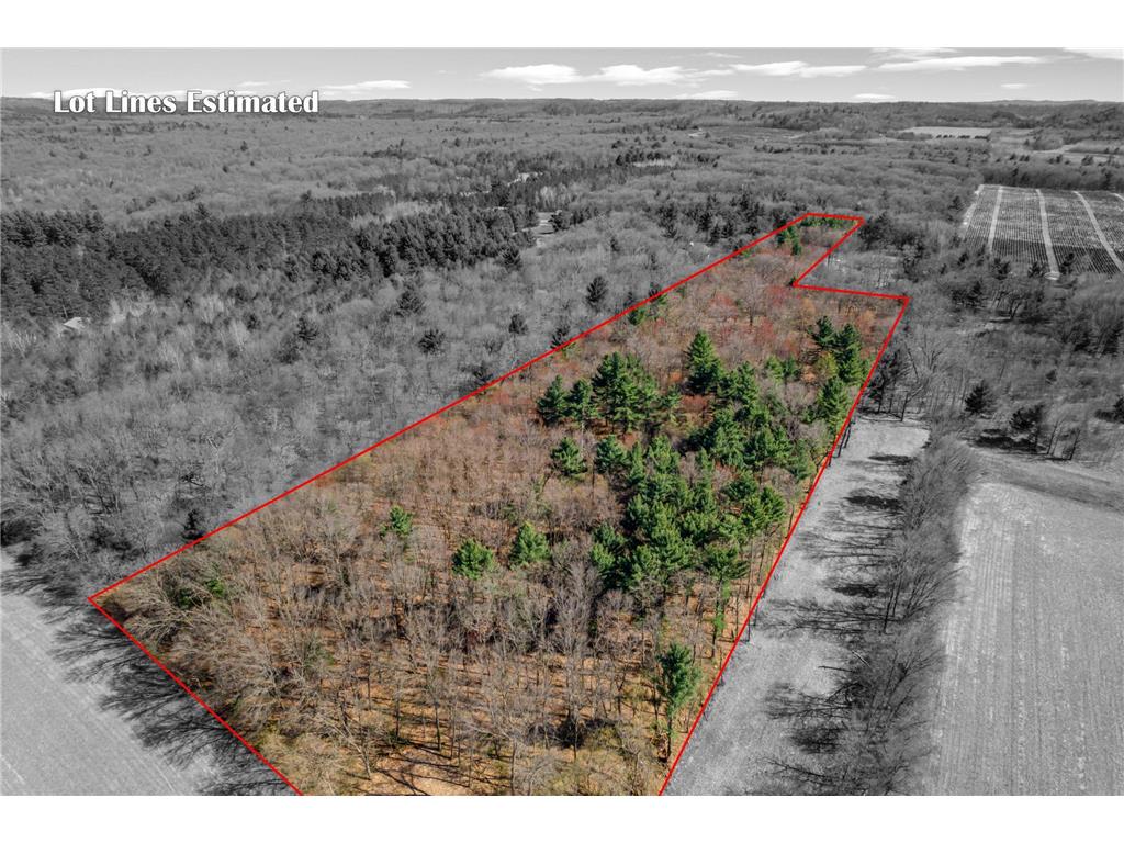 TBD Montgomery Road Hixton WI 54635 6713758 image1