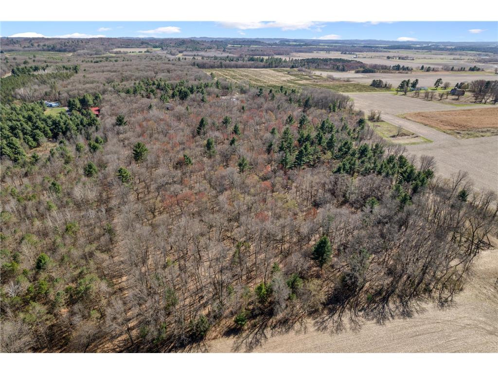 TBD Montgomery Road Hixton WI 54635 6713758 image11