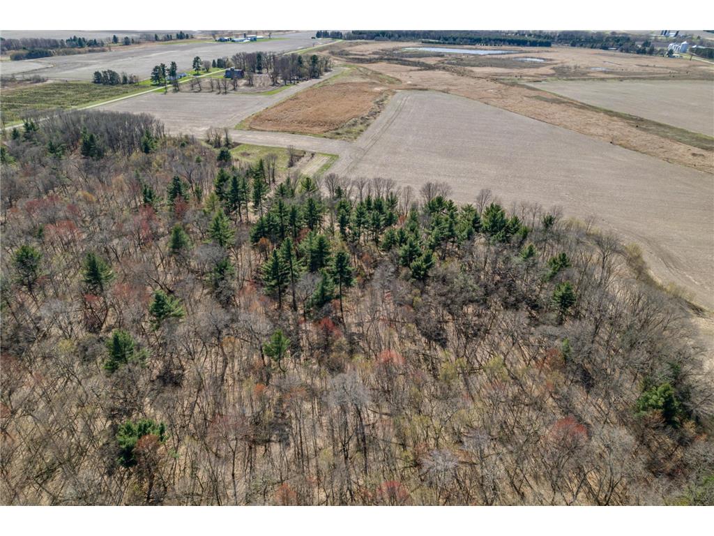 TBD Montgomery Road Hixton WI 54635 6713758 image12