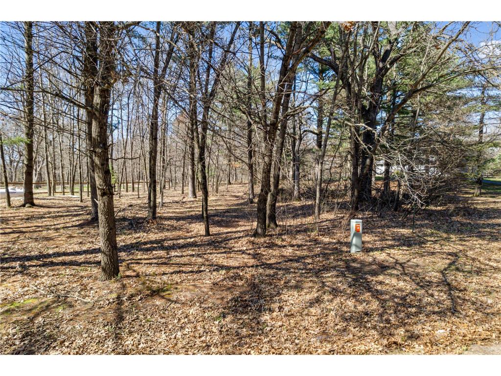 TBD Montgomery Road Hixton WI 54635 6713758 image14