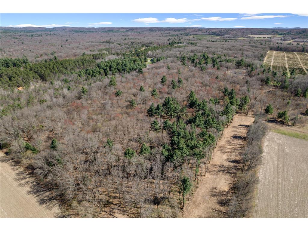 TBD Montgomery Road Hixton WI 54635 6713758 image4