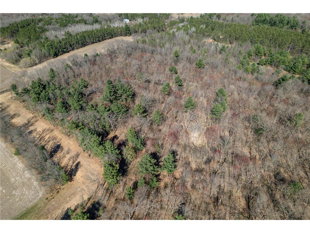 TBD Montgomery Road Hixton WI 54635 6713758 image6